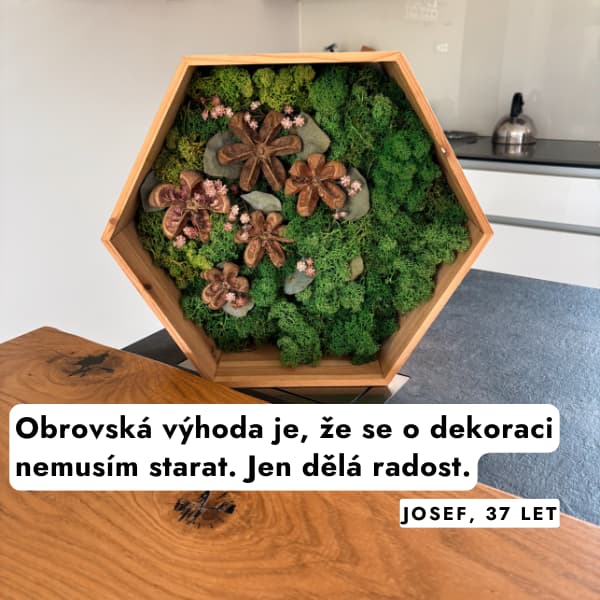 dekorace-mechova-obchod